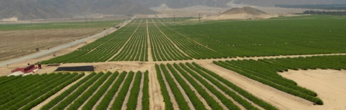 SUBASTA DE TIERRA DE USO NO AGRÍCOLA DEL PROYECTO CHAVIMOCHIC